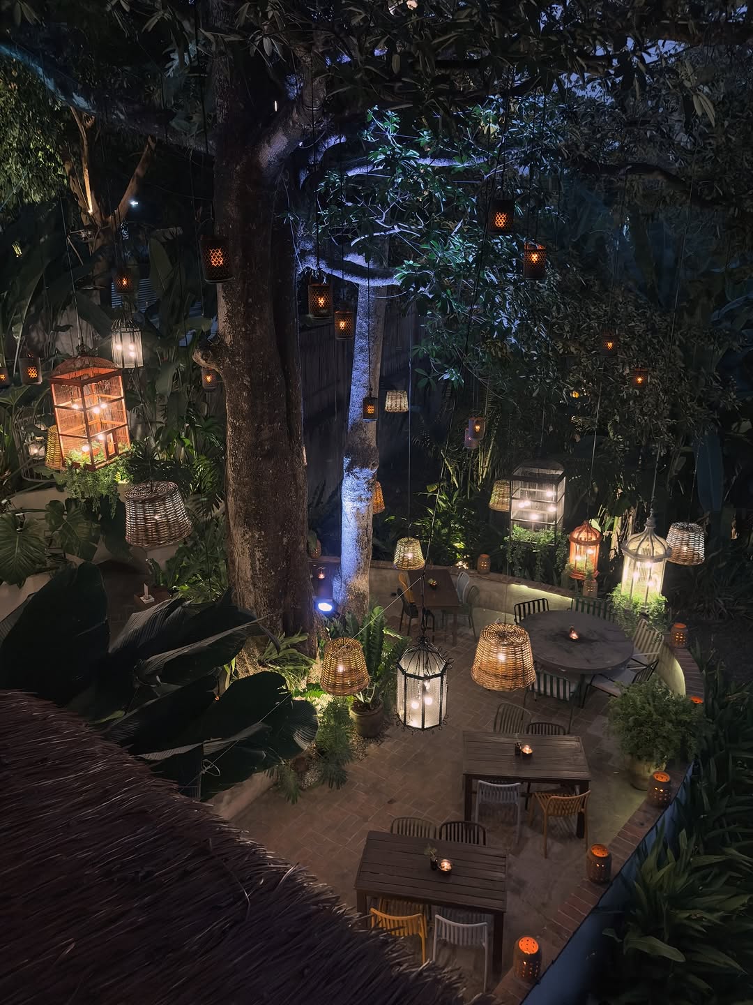 PIÑA garden at night — wicker lanterns hanging from trees